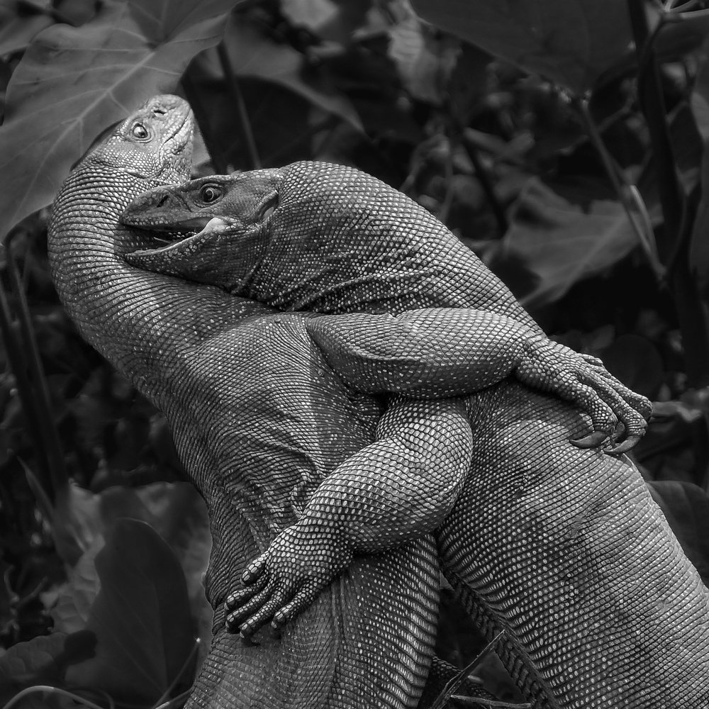 Photograph by Ольга Мусиенко