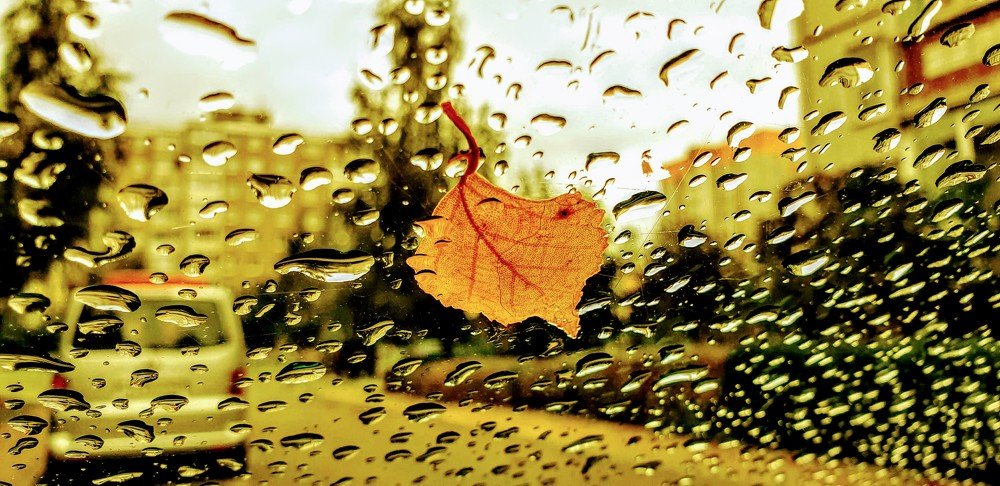 Photograph by Луценко Роман