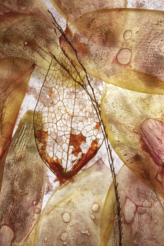 Photograph by Maja Strgar Kurecic