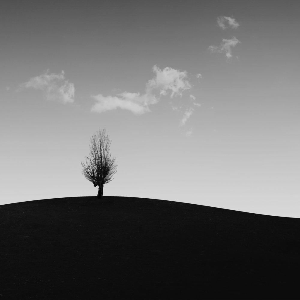 The wind will carry us