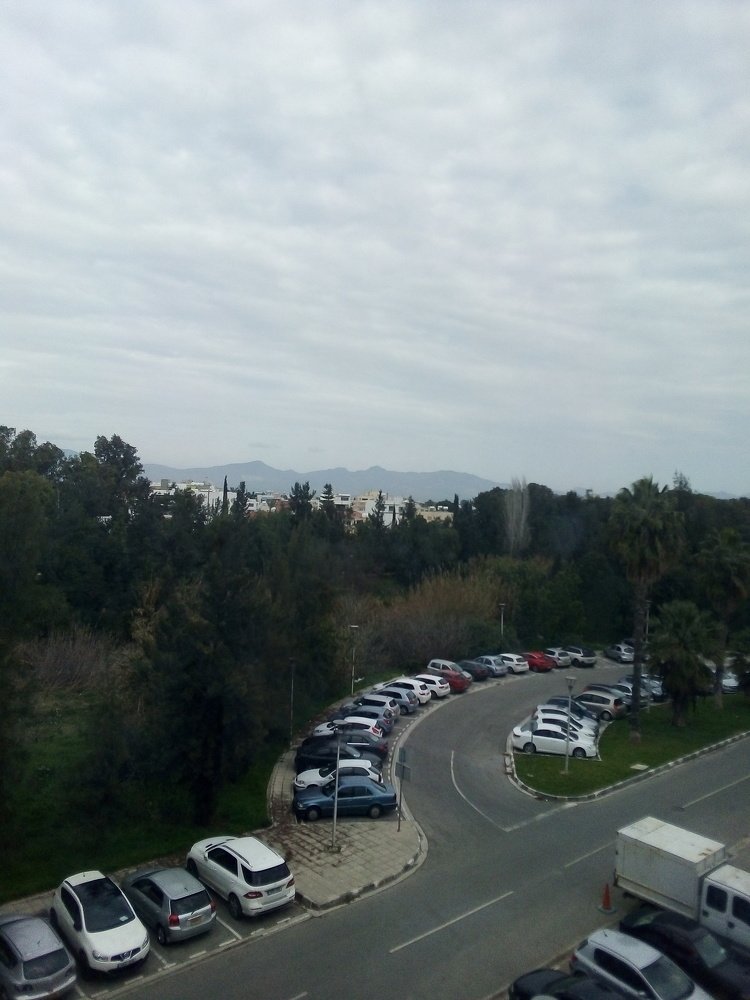 Cloudy View