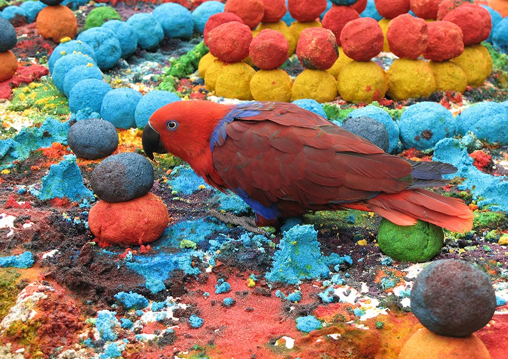 Photograph by Maja Strgar Kurecic