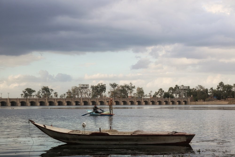 Фотография автора Adel elqamhawi Mohamed