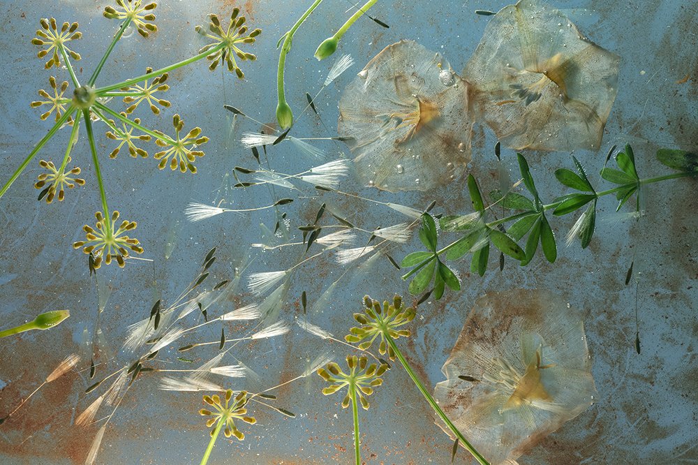 Photograph by Maja Strgar Kurecic