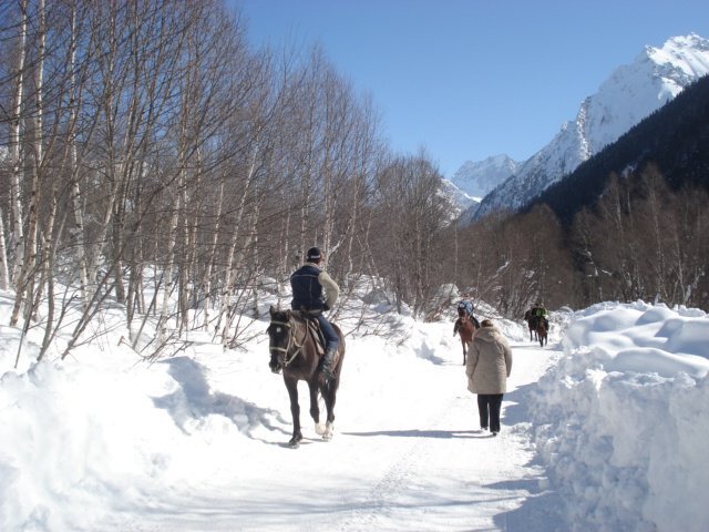 Photo #4165202