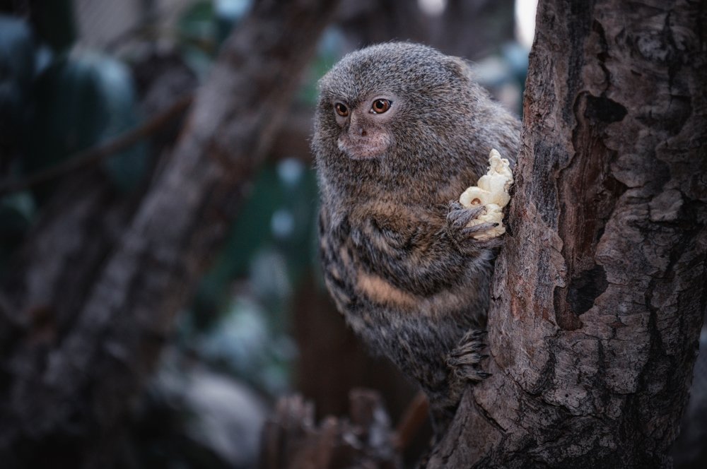 Photograph by Teodora Sarbinska