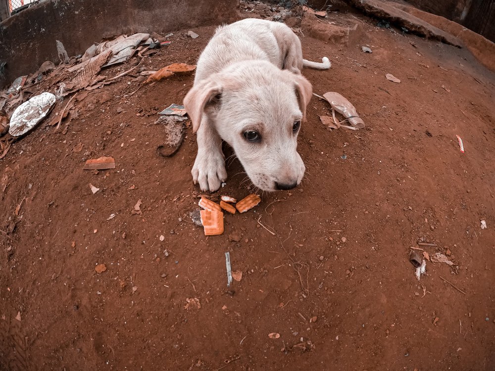 Photograph by Suyash