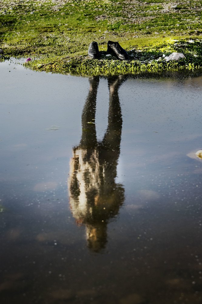 Фотография автора ziba alirezaei58