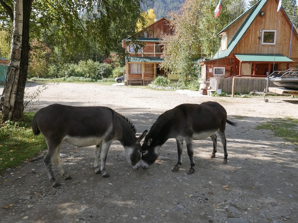 Мать и дочь. Нежность встречи.