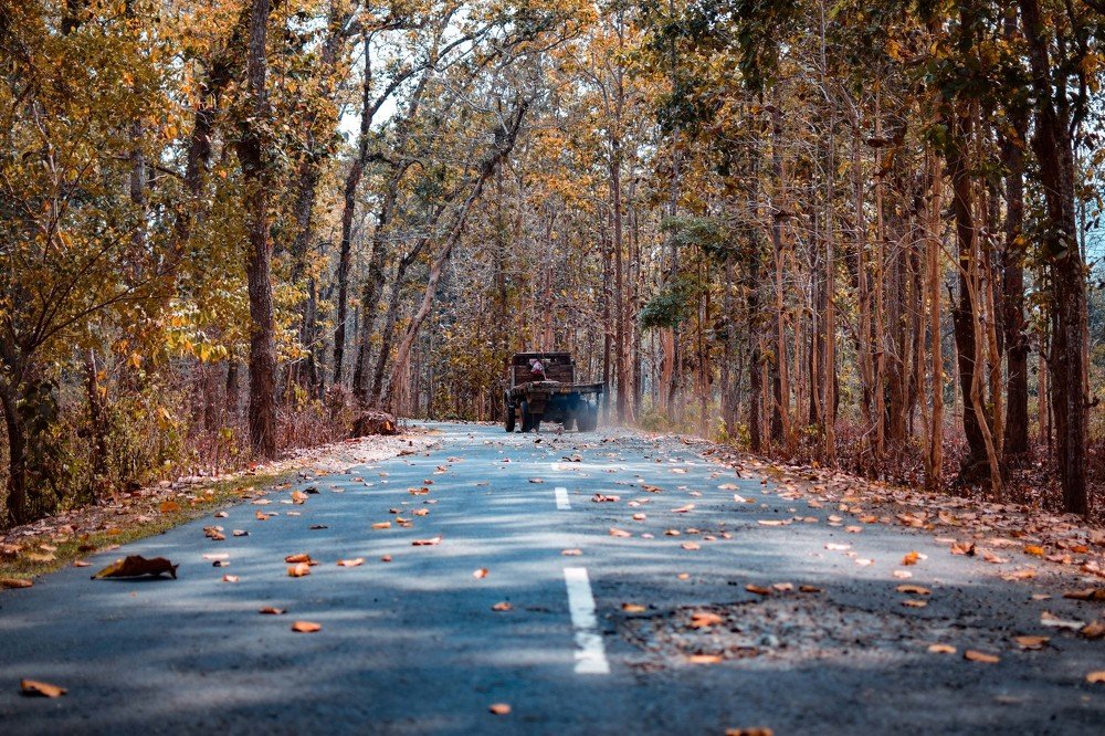 Photograph by Nishy Rabha