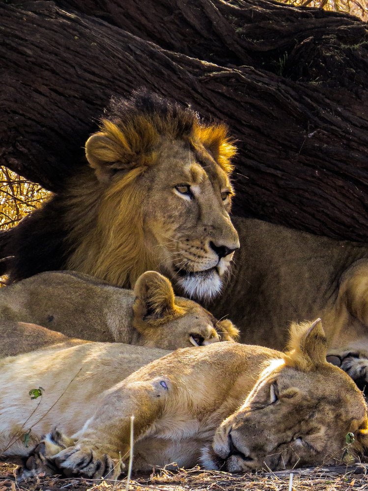 Photograph by Madhurya Mozumder