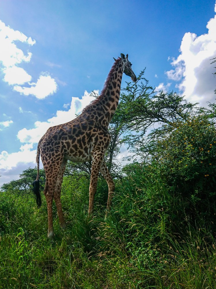 Photograph by christopher satish