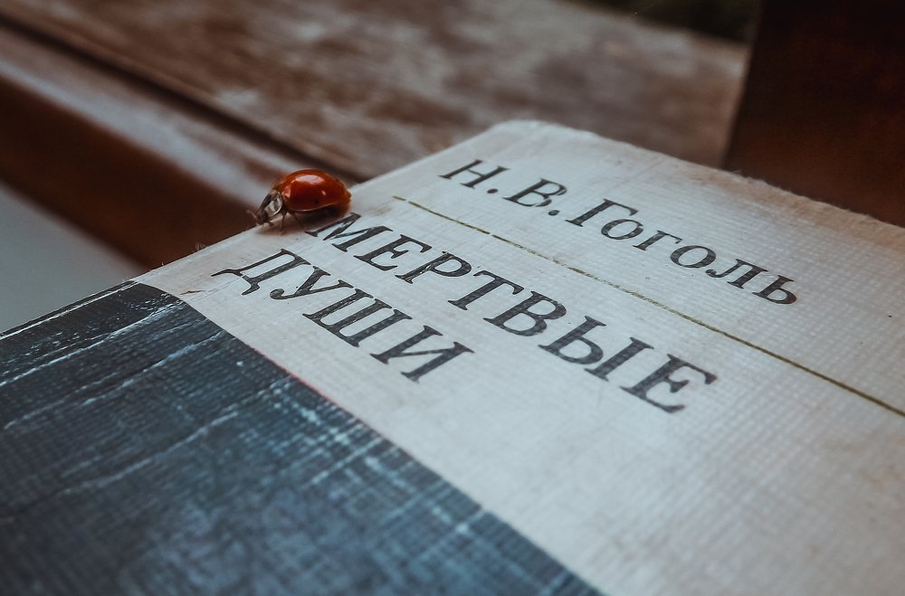 Photograph by Виктор Сёмушкин