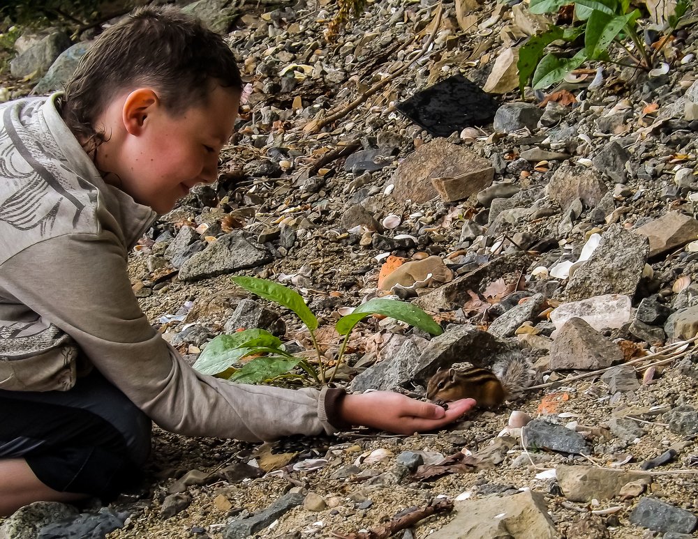 Photograph by Виктор Сёмушкин