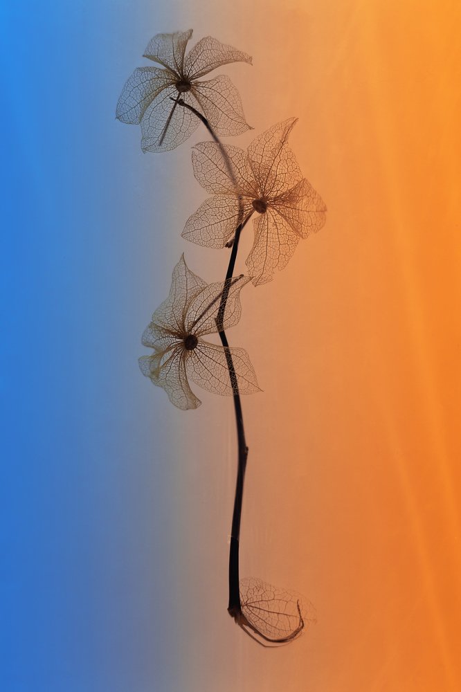 После жизни...