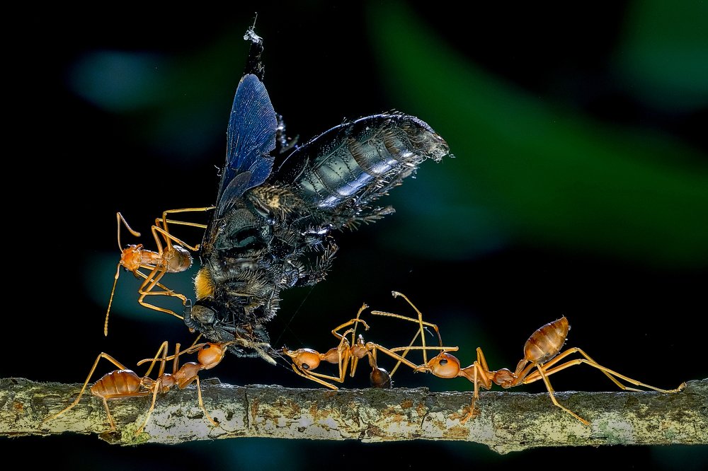 Photograph by KAIYEN LEE