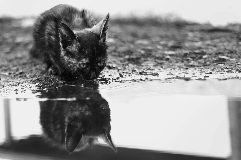 Photograph by Маргарита Зайцева