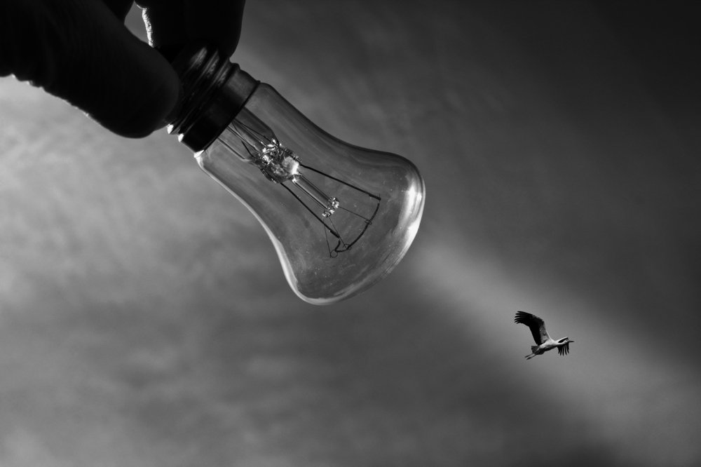 Photograph by Елена Миронова