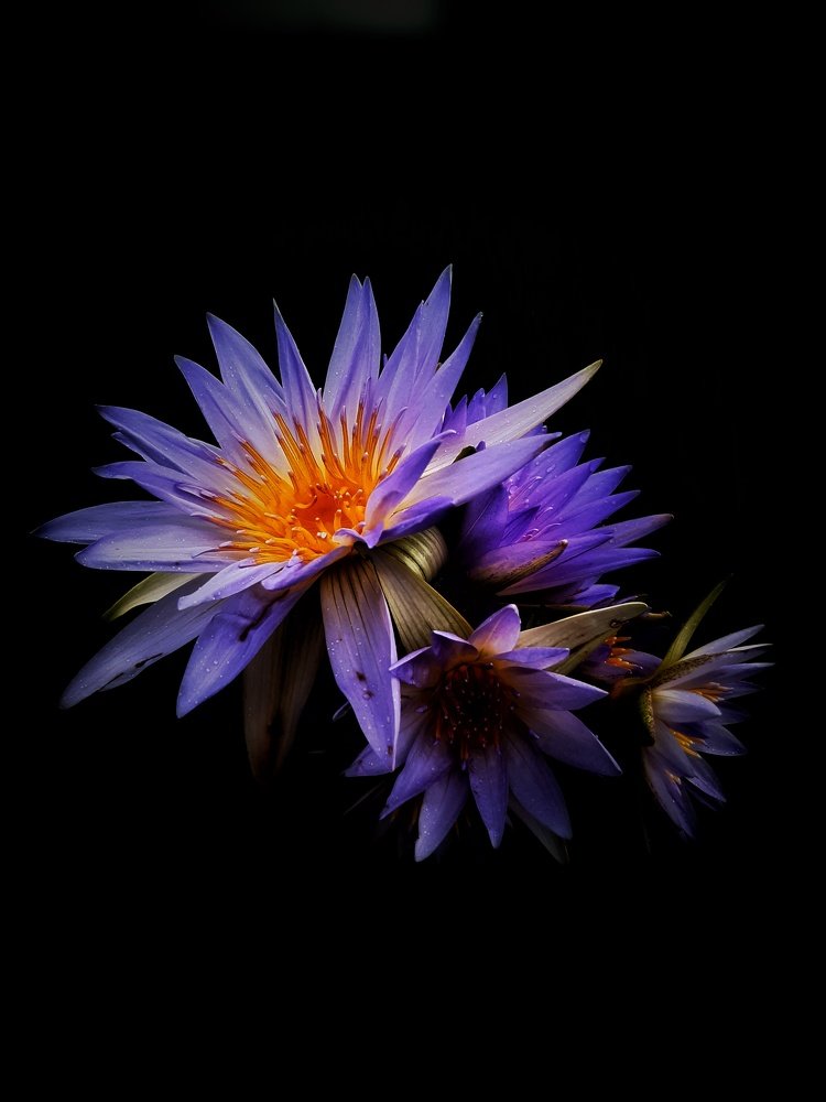 Photograph by Mirza Md moon ridoy