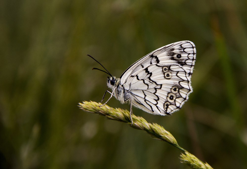 Photograph by SEMRA ONAY