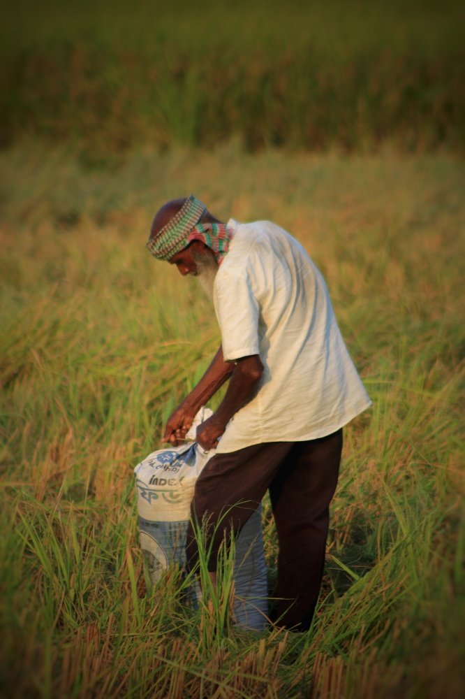 Photograph by Mirza Md moon ridoy