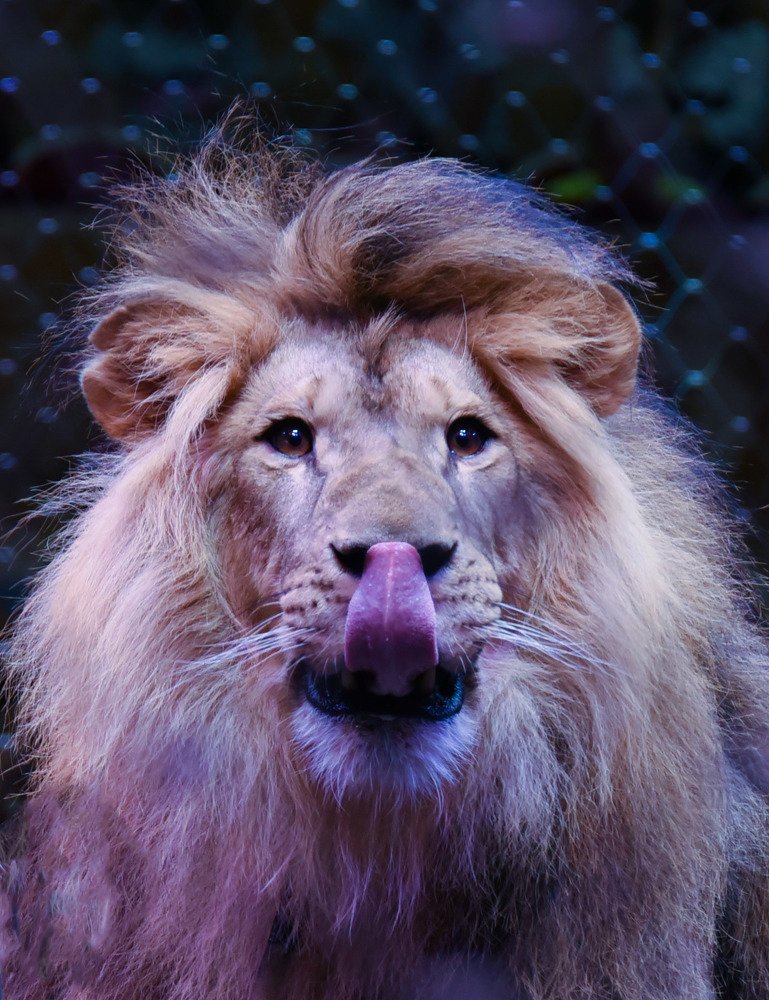 Photograph by Надежда Буаллаг