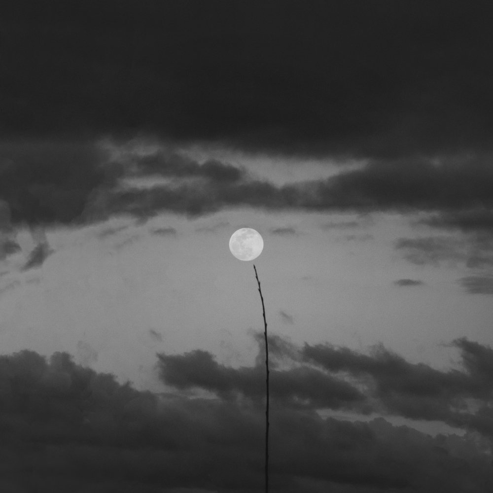 Moon