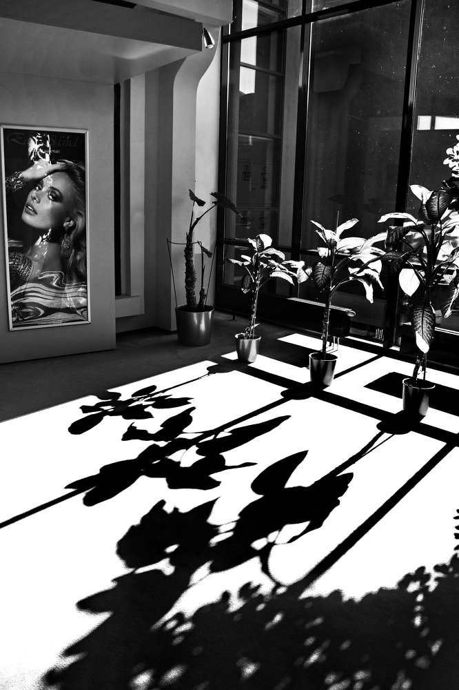 Photograph by Naum Zhernitsky