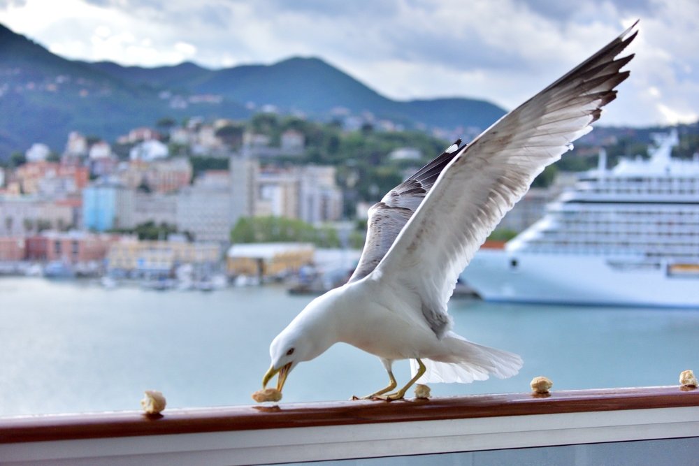 Photograph by Avidar Aboudarham Maxime