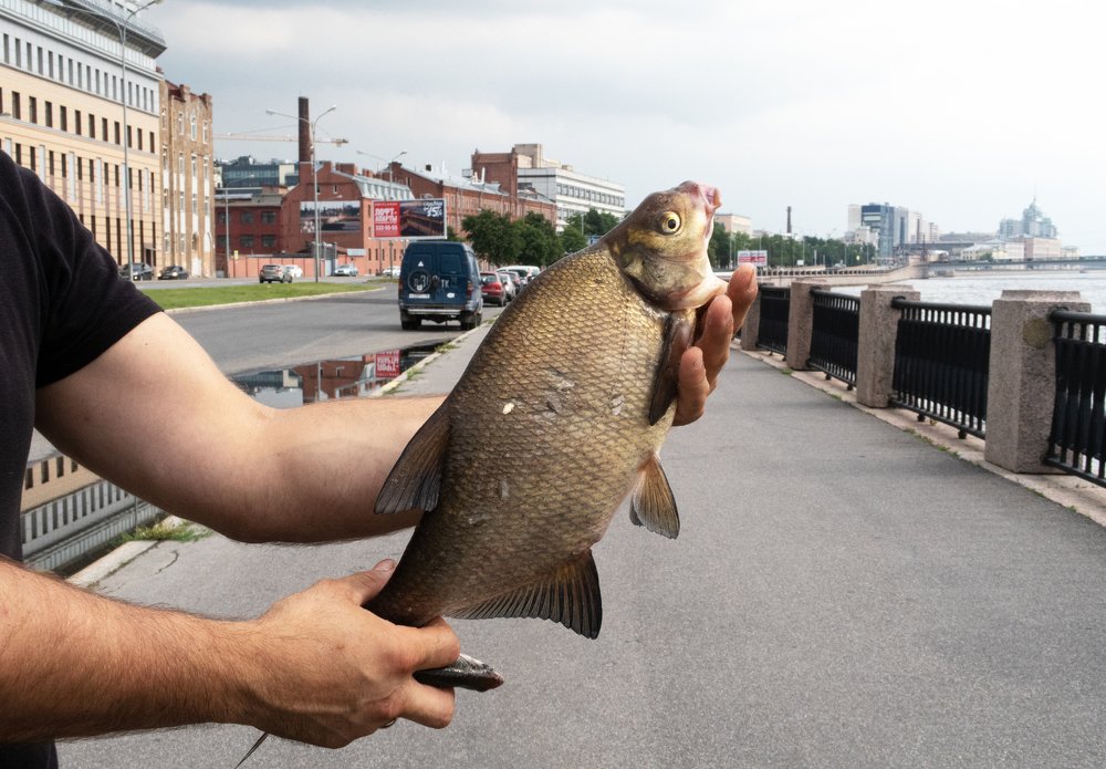 Photograph by Наталья Малышева