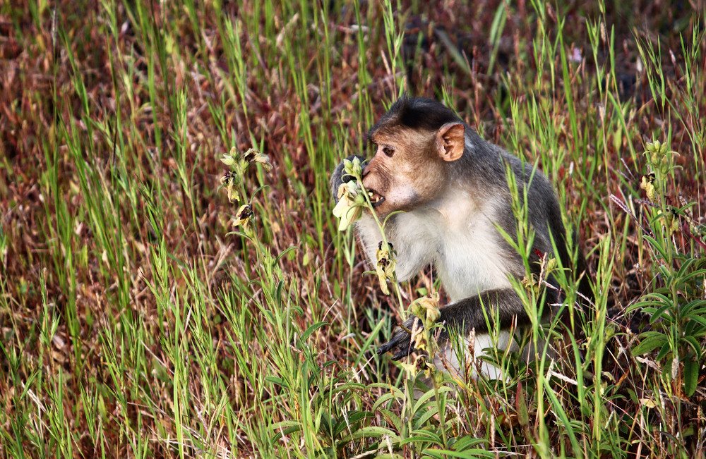 Photograph by subhash purohit