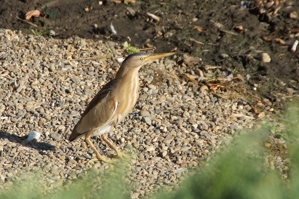 Photograph by Ирина Пальцына