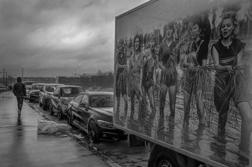 It's raining cats and dogs...