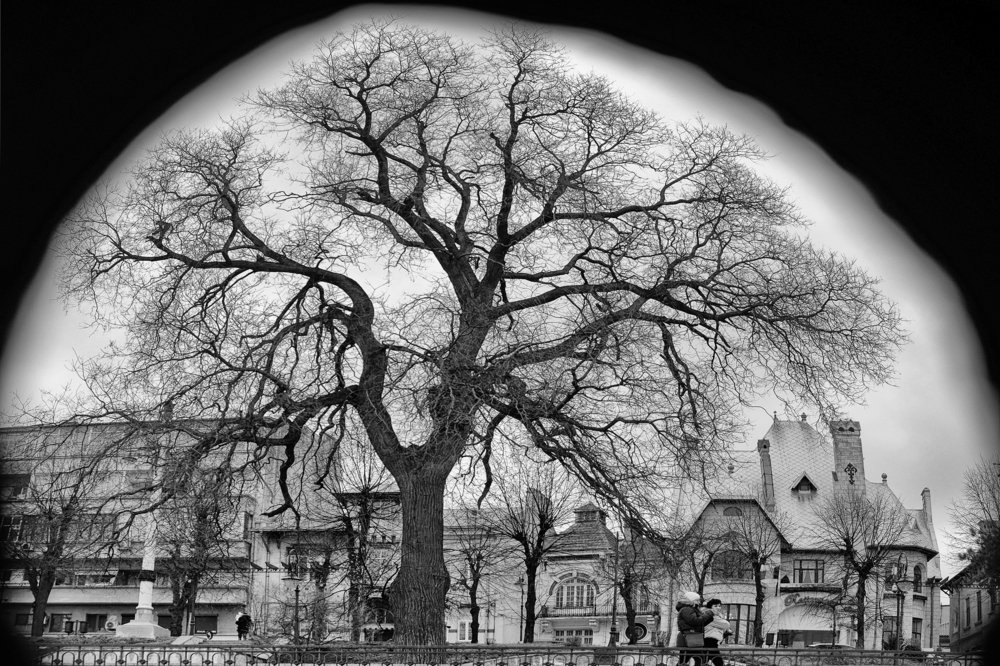 Photograph by Magda Fulger