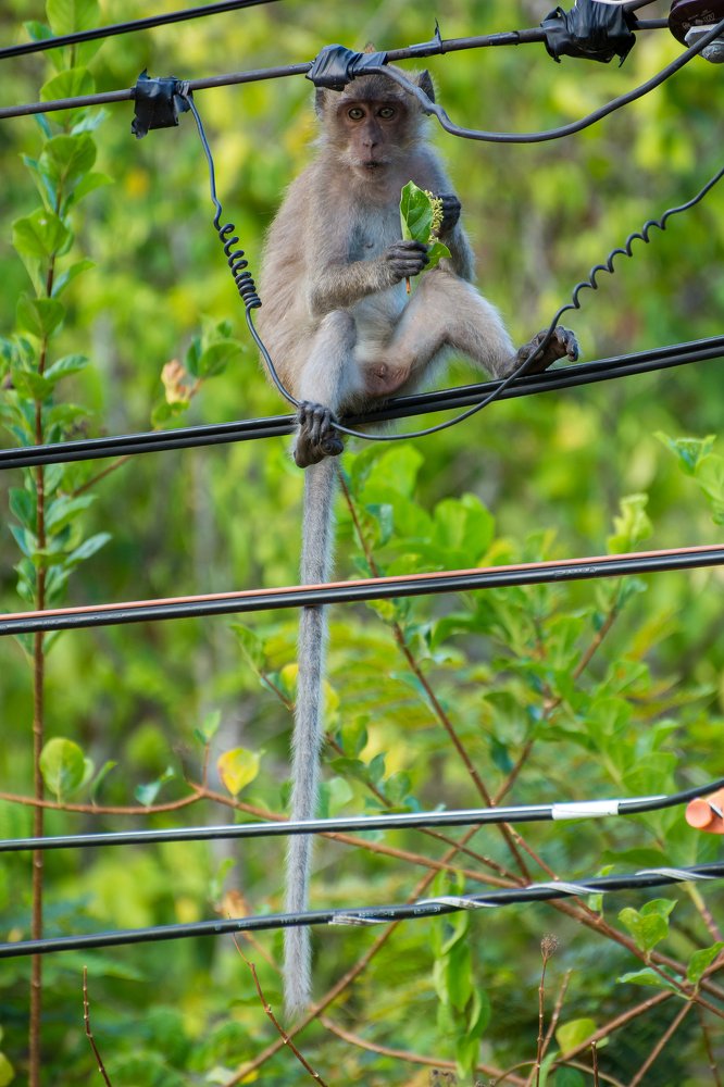 Photograph by Evgeni Fabis