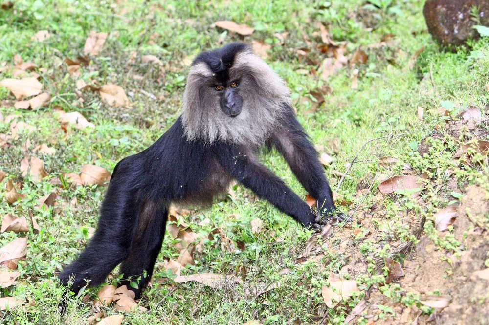 Photograph by subhash purohit