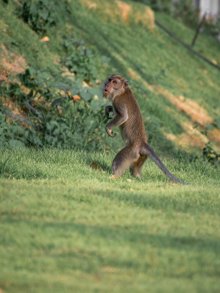 Photograph by Evgeni Fabis