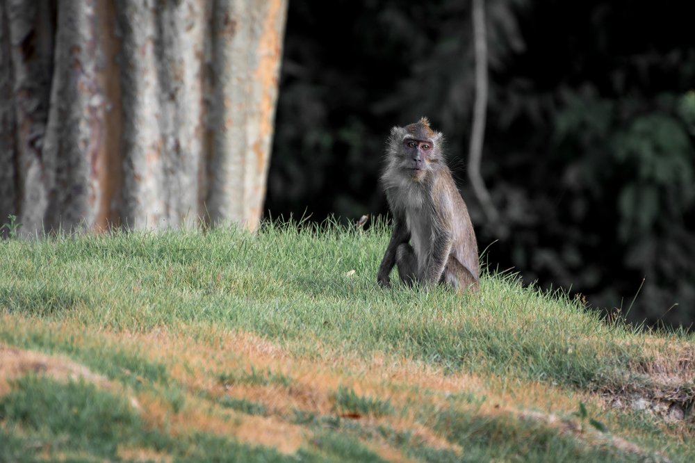 Photograph by Evgeni Fabis