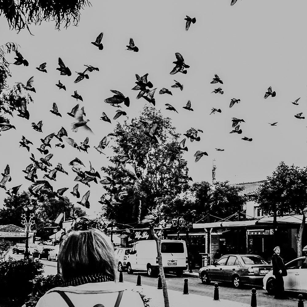 Photograph by Antonis Giakoumakis