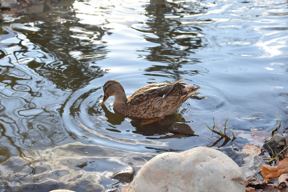 Photograph by Иван Истомин