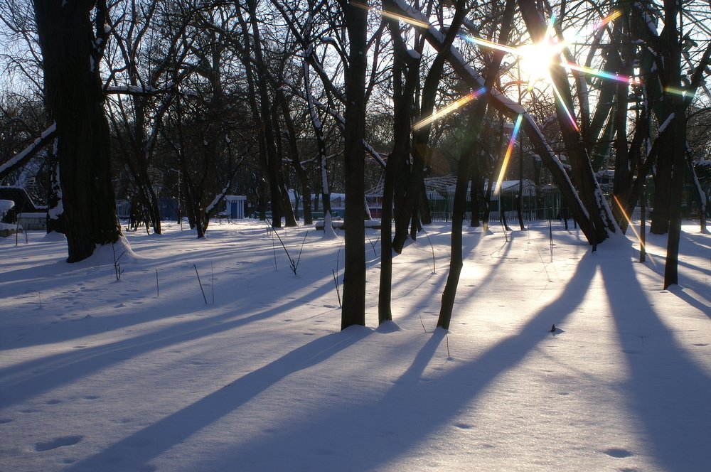 Зимний вечер в старом парке