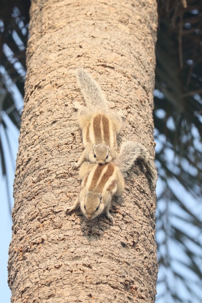 Photograph by Sumit Singh