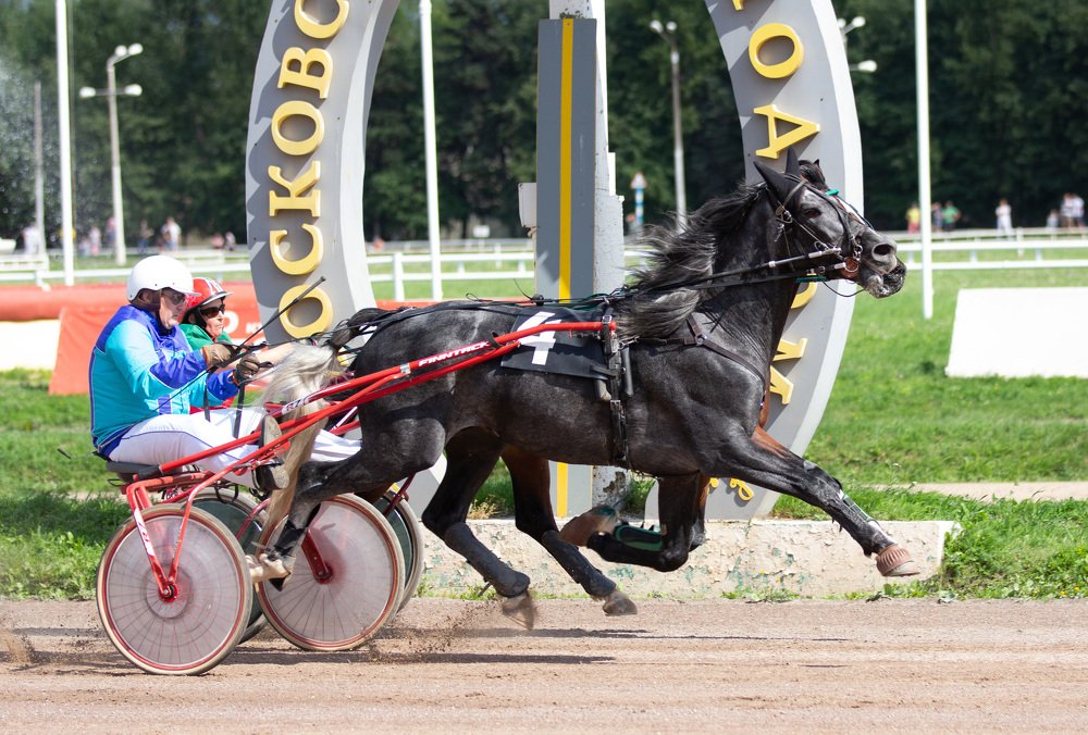 Photograph by Юлия Дудкова