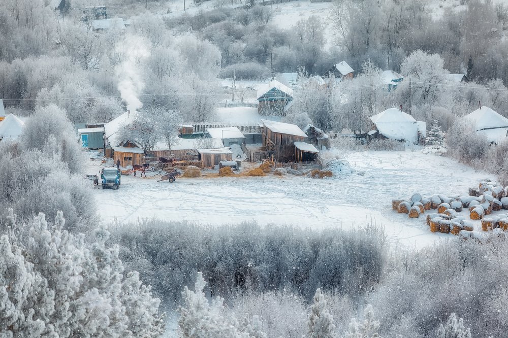 Деревенское подворье