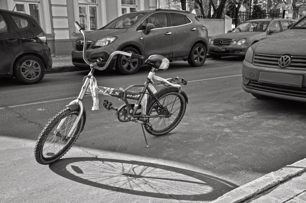 Все тянется к солнцу