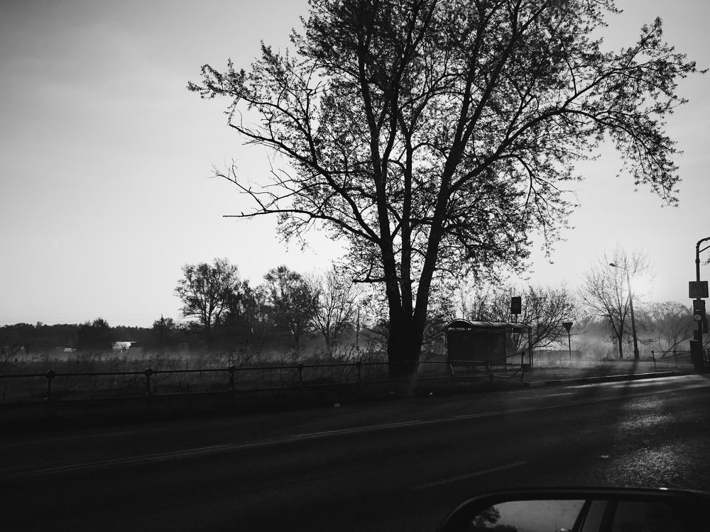 Photograph by Елизавета Киселева