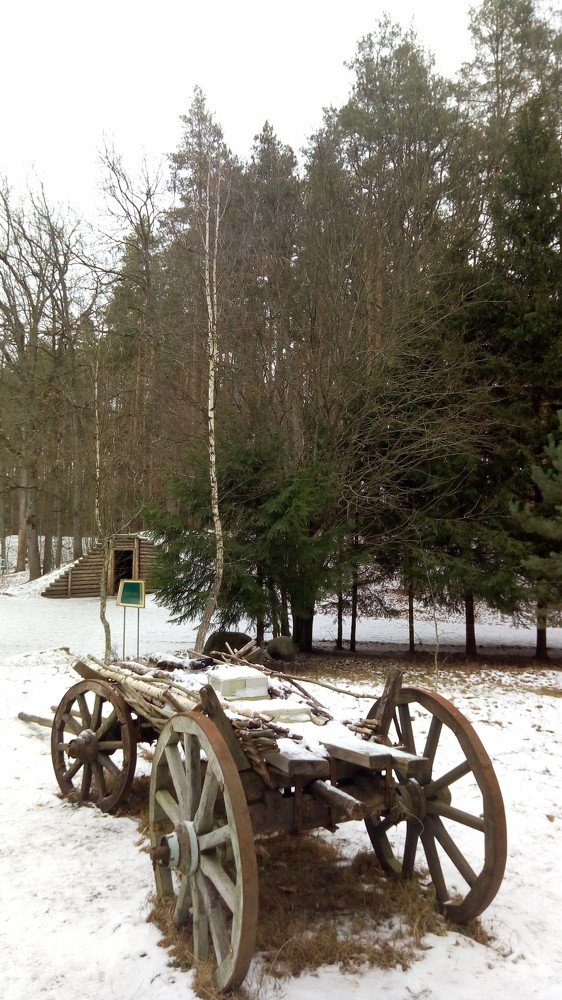 Photo #4166460