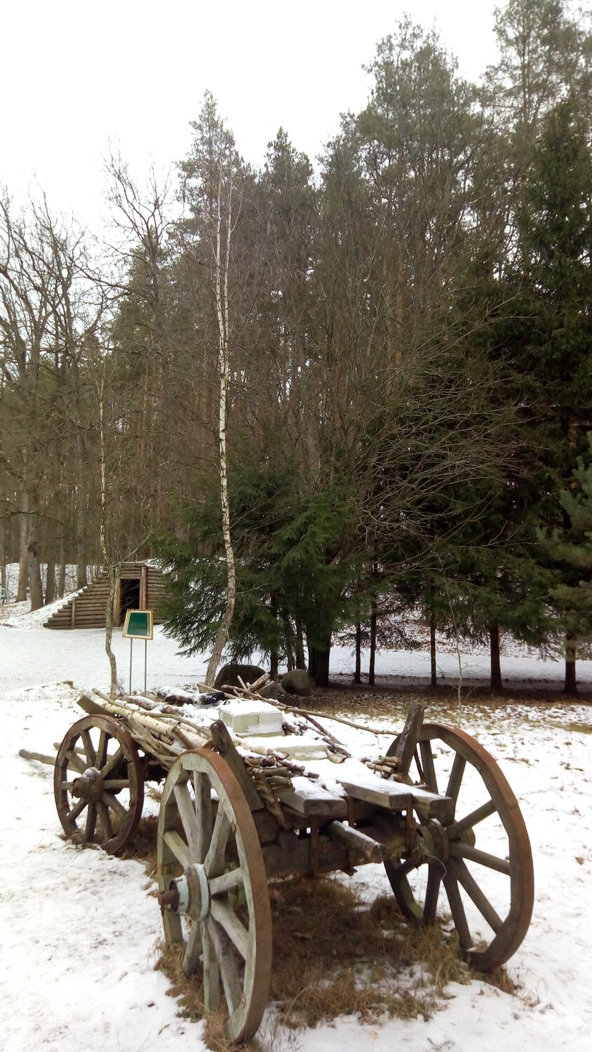 Photo #4166460
