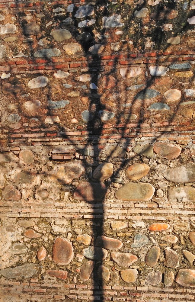 Photograph by Николай Турский