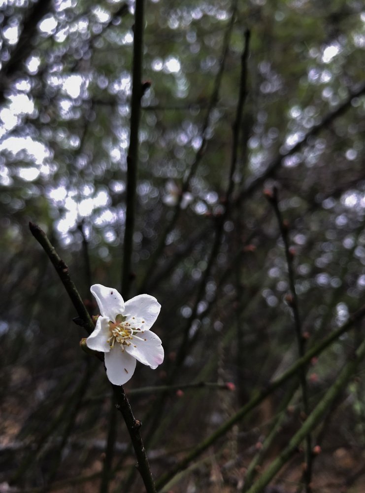 Фотография автора Crabz Skinny